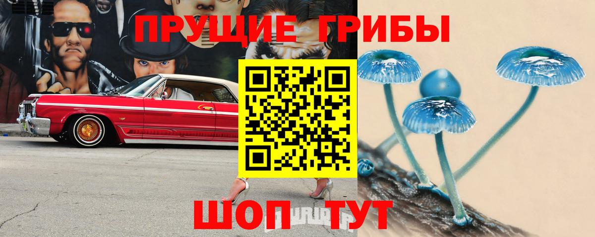 Галлюциногенные грибы Psilocybine cubensis Лангепас